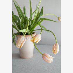 Bergs Potter Kbenhavner RAW rosa rosenpotte : 18cm. inkl. underskl