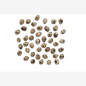 La Vida - �g Vagtel 6 stk pr. pk. 3cm. Natur