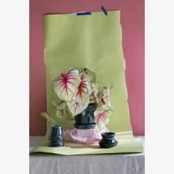 Bergs Potter Kbenhavner urtepotte Petroleums bl 14 cm