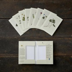 Koustrup&Co. - Kortmappe Forr: 8 kort