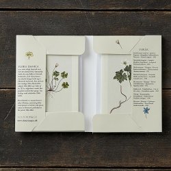 Koustrup&Co. - Kortmappe Forr: 8 kort