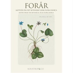 Koustrup&Co. - Kortmappe Forr: 8 kort