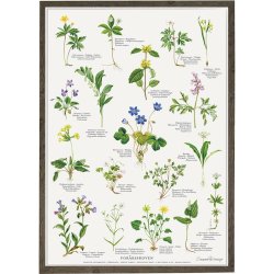 Koustrup &amp; Co - Plakat "Forrsskoven" A2.