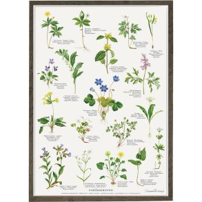 Koustrup & Co - Plakat 