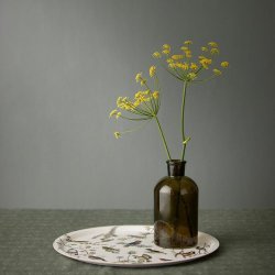 Koustrup&Co. - Bakke Havens Fugle 38