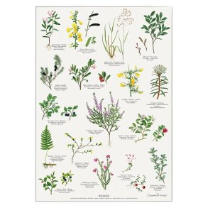 Koustrup & Co - Plakat 