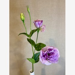Lisianthus Lilla H:67cm.
