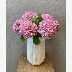 Hortensia Rosa H: 48 cm.