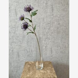 Protea Lilla H: 71 cm.