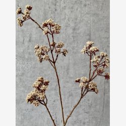 Eupatorium Beige H: 81 cm.