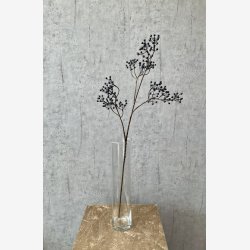 Ilex brgren Mrkebl H: 77 cm.