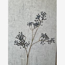 Ilex brgren Mrkebl H: 77 cm.