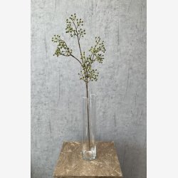 Ilex brgren Grn H: 77 cm.