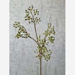 Ilex brgren Grn H: 77 cm.