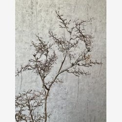 Gren u/blade Brun H: 75 cm.