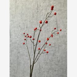 Brgren Orange H: 82 cm.