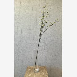 Brgren Grn H: 118 cm.