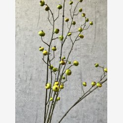 Brgren Grn H: 118 cm.