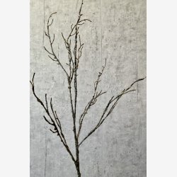 Gren u/blade natur H: 106 cm.