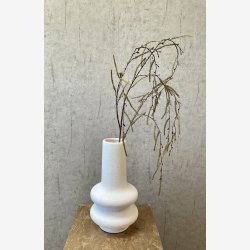 Hnge Salix Grn L: 132 cm.