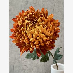 Chrysanthemum 75 cm Orange