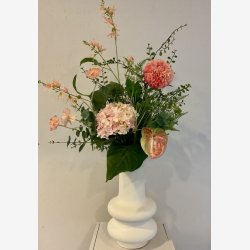 Pr�rielilje Abrikos H:101cm.