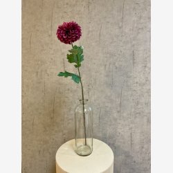 Dahlia M�rke lilla H:75cm.