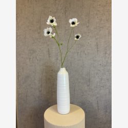 Anemone Hvid H:81cm.