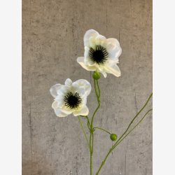 Anemone Hvid H:81cm.