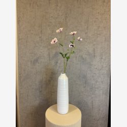 Anemone Lyselilla H:81cm.