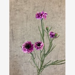 Kornblomst Buket Lilla H:66cm.