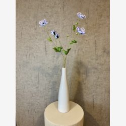 Anemone Lysebl� H:81cm.