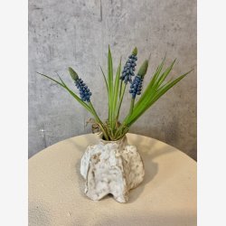 Perlehyacint Buket Bl� H:22cm.