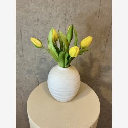 Tulipan Bundt 5 stk. Gul H:32cm.