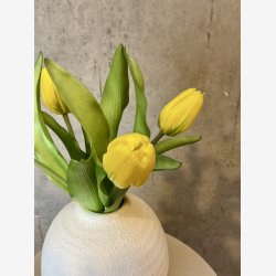 Tulipan Bundt 5 stk. Gul H:32cm.