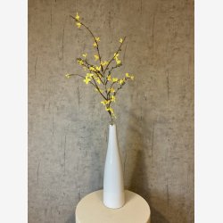 Forsythia Gul H:76cm.