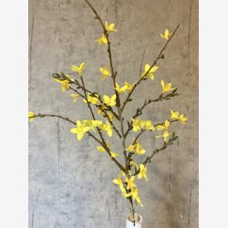 Forsythia Gul H:76cm.