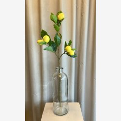 Gren med Citroner H:68cm.