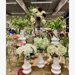 Hortensia Grn/Lysrosa H: 53 cm.