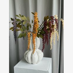 Phytolacca Amber H: 76 cm.