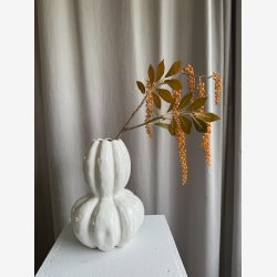 Phytolacca Amber H: 76 cm.