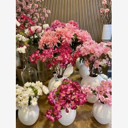 bleblomst gren Rosa H: 35 cm.