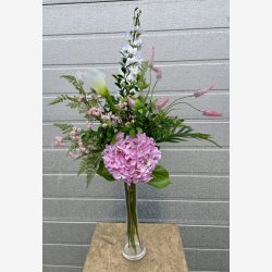 Hortensia Rosa H: 48 cm.