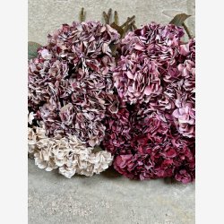Barbara - Hortensia - Rosa - 64 cm