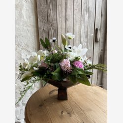 Adianthum gren L: 82 cm.