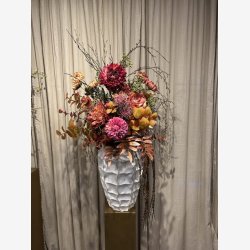 Ilex brgren Grn H: 77 cm.