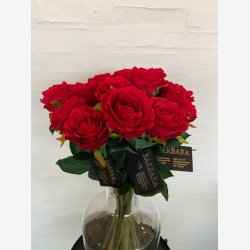 Rose R�d H:70cm.