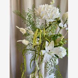 Adianthum gren L: 82 cm.