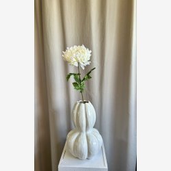 Chrysanthemum Blomst Hvid H: 75 cm.