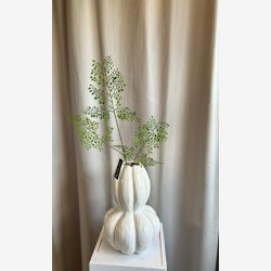 Adianthum gren L: 82 cm.